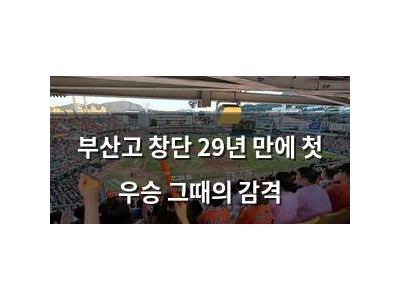 부산고 창단 29년 만에 첫 우승 그때의 감격