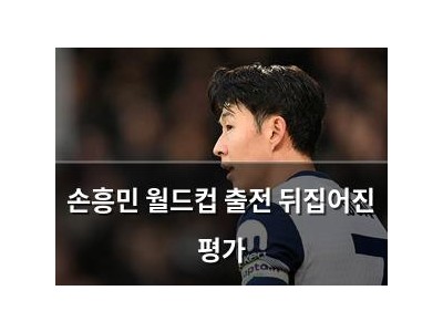 손흥민 월드컵 출전 뒤집어진 평가