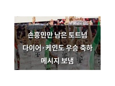 손흥민만 남은 토트넘 다이어·케인도 우승 축하 메시지 보냄