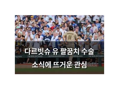 다르빗슈 유 팔꿈치 수술 소식에 뜨거운 관심