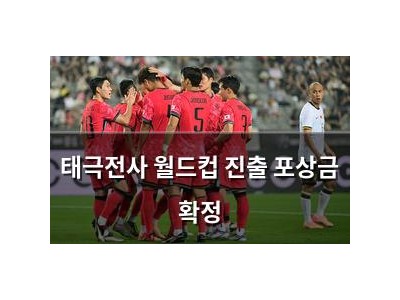 태극전사 월드컵 진출 포상금 확정