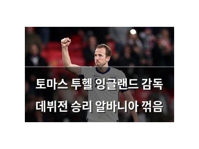토마스 투헬 잉글랜드 감독 데뷔전 승리 알바니아 꺾음
