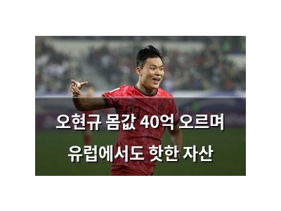 오현규 몸값 40억 오르며 유럽에서도 핫한 자산