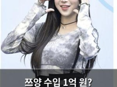 쯔양 수입 1억 원? 유튜버의 재테크 방식이 화제