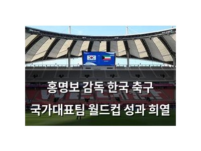 홍명보 감독 한국 축구 국가대표팀 월드컵 성과 희열