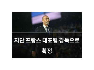 지단 프랑스 대표팀 감독으로 확정