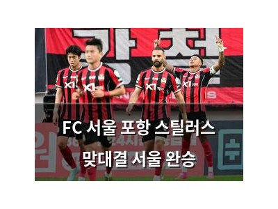 FC 서울 포항 스틸러스 맞대결 서울 완승